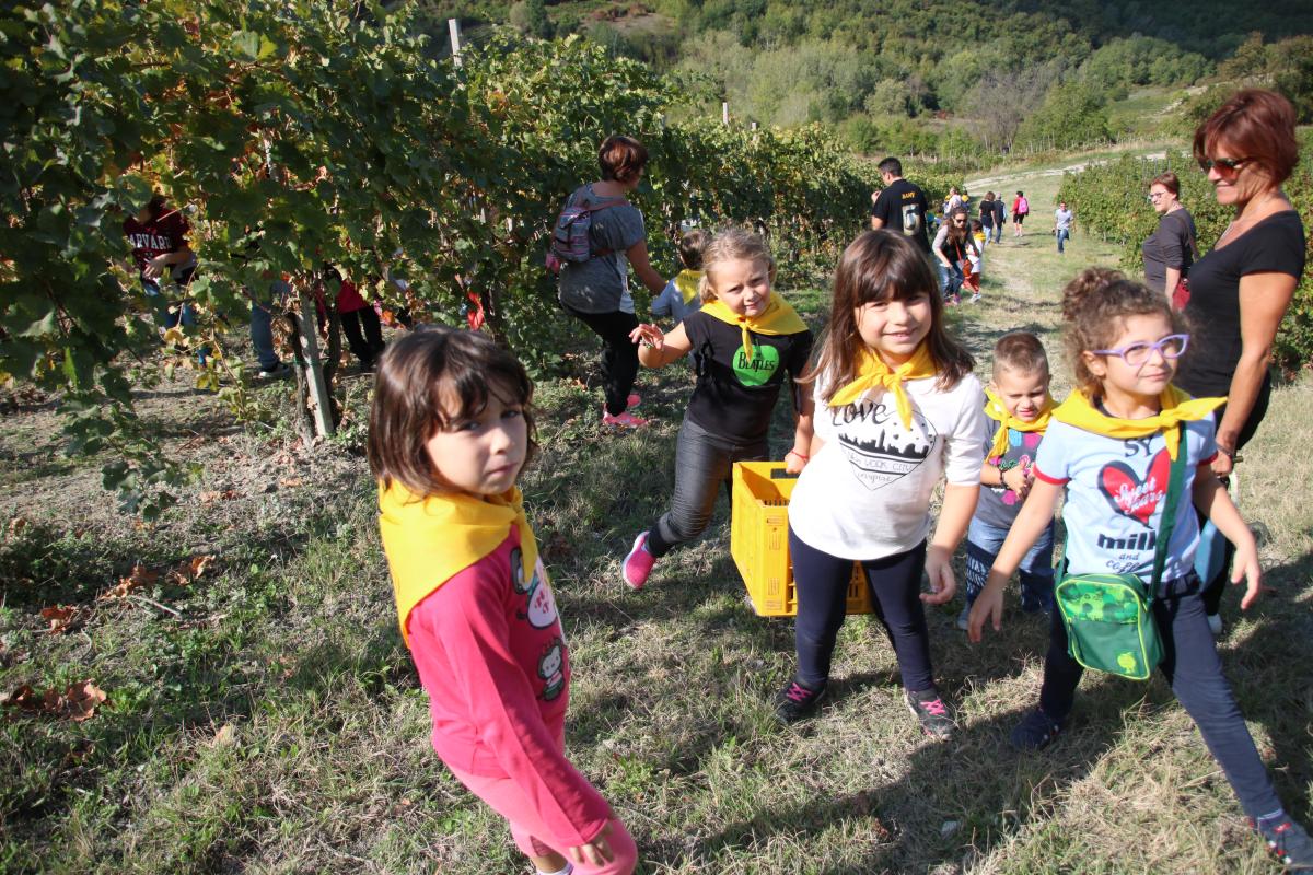 Addio Vendemmia 2017