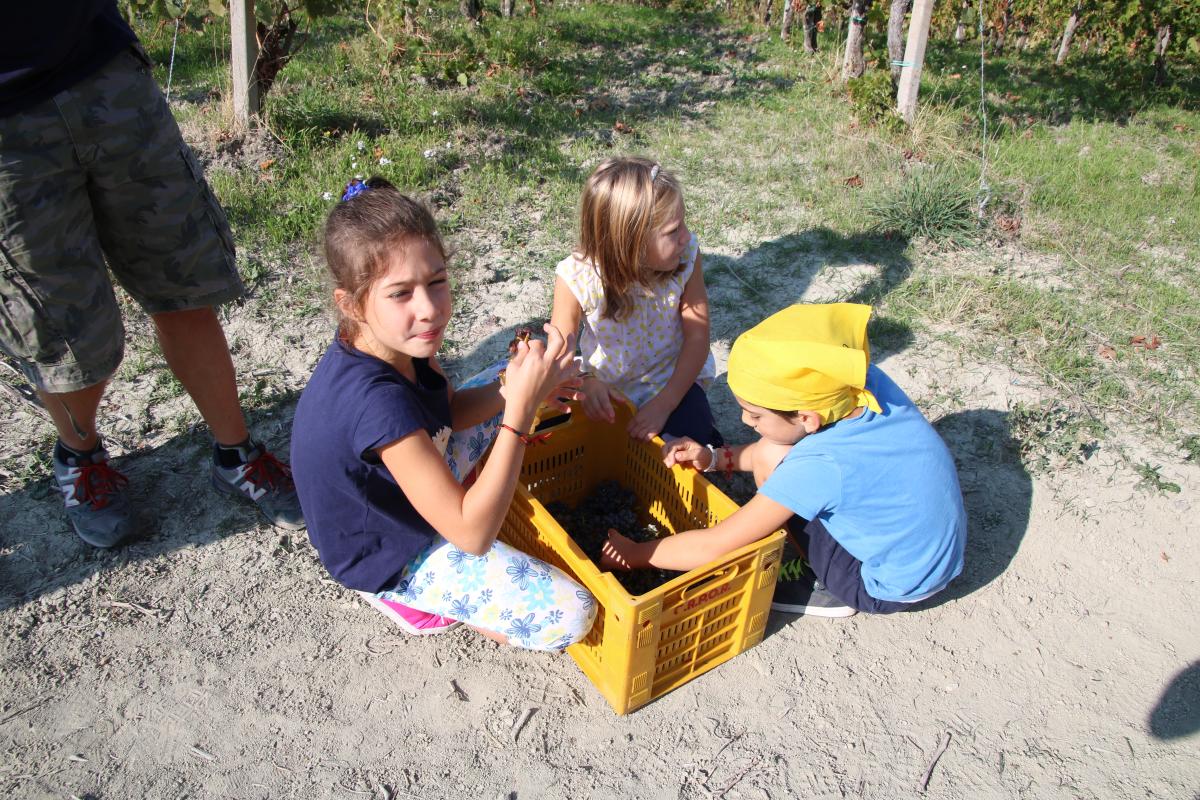 Addio Vendemmia 2017