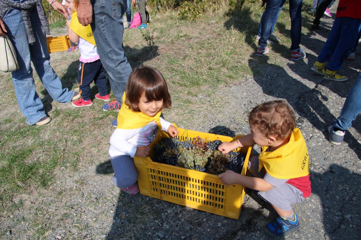 Addio Vendemmia 2017