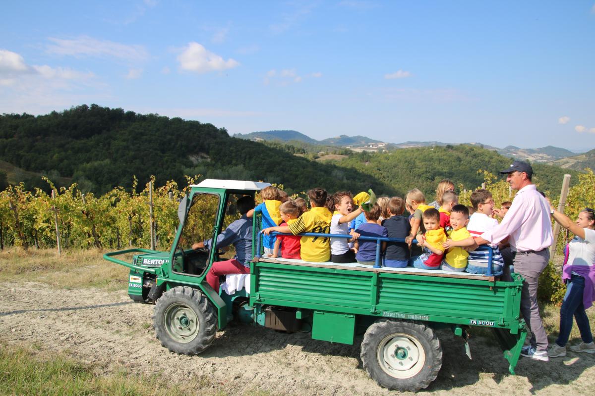 Addio Vendemmia 2017