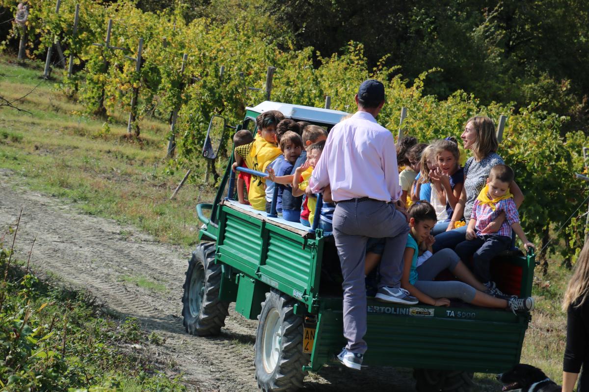 Addio Vendemmia 2017